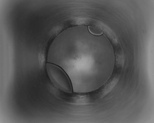 X0000102770260200808181135