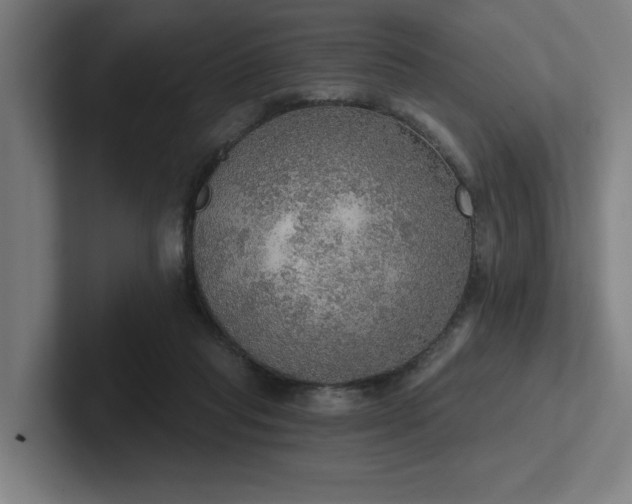 X0000102770261200808181135