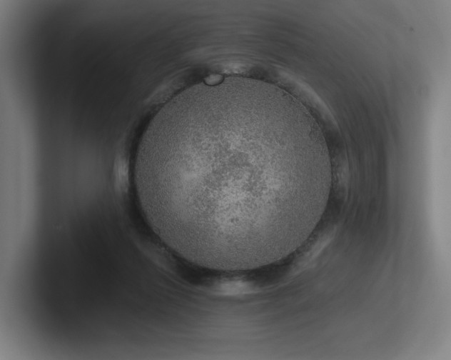 X0000102770262200808181135