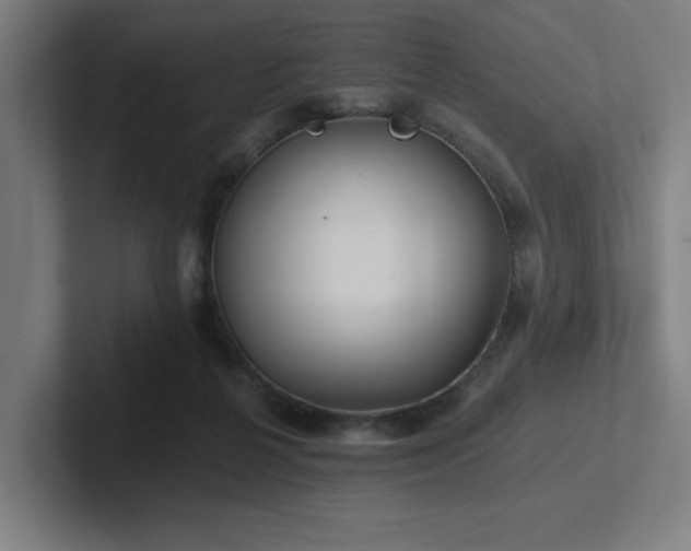 X0000102770264200808181135