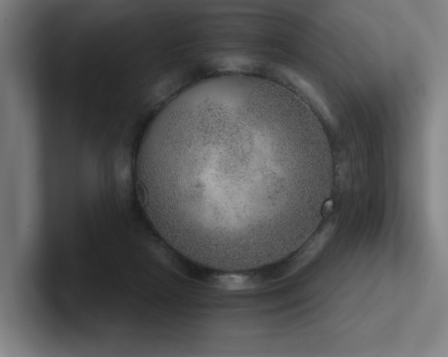 X0000102770265200808181135