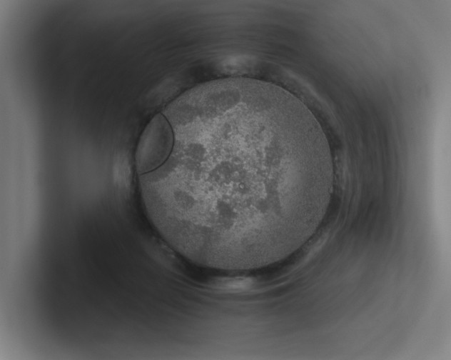 X0000102770266200808181135