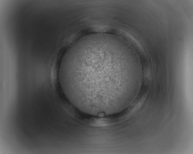 X0000102770268200808181135