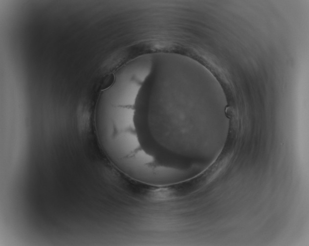 X0000102770269200808181135