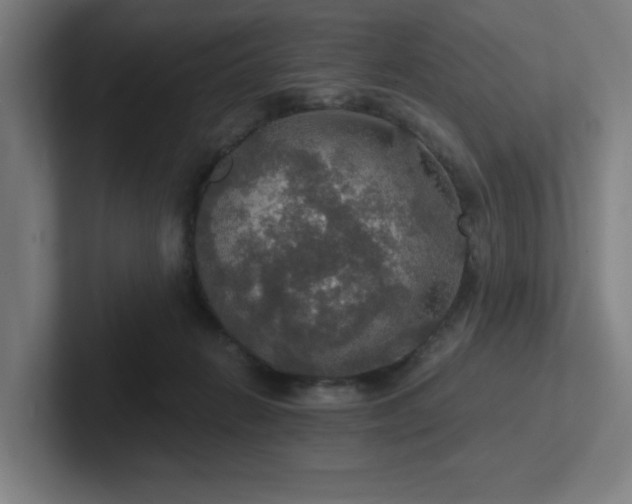 X0000102770270200808181135