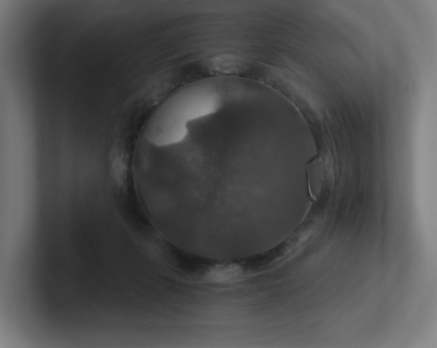 X0000102770271200808181135