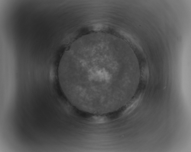 X0000102770272200808181135