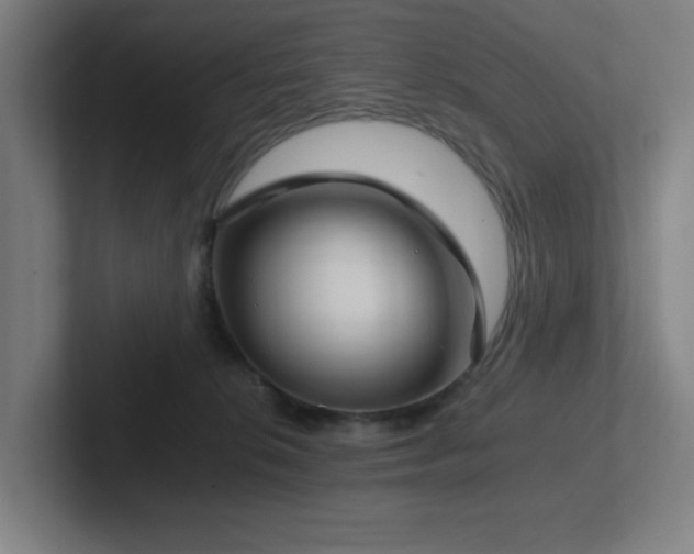 X0000102770276200808181135