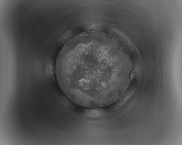 X0000102770282200808181135