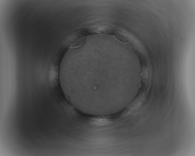 X0000102770284200808181135