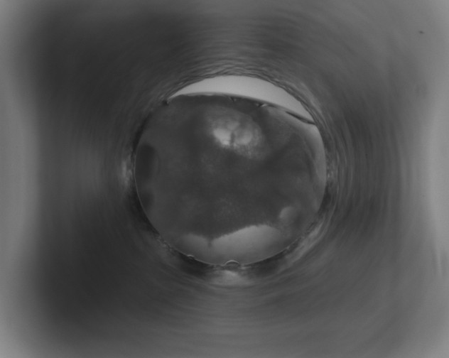 X0000102770285200808181135