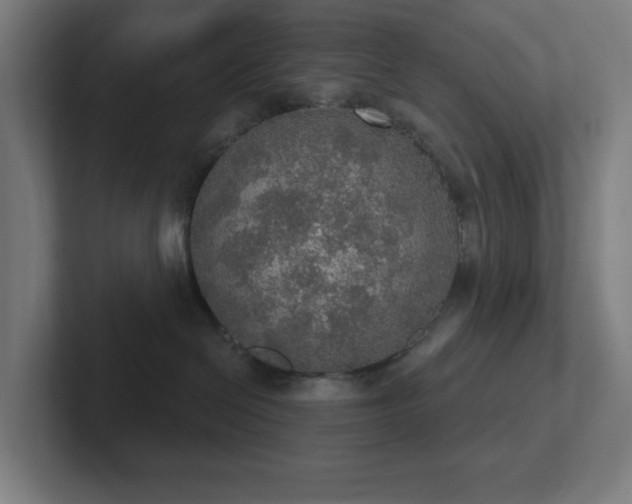 X0000102770286200808181135