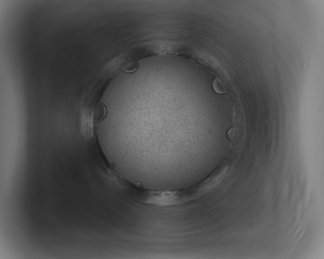 X0000102770288200808181135