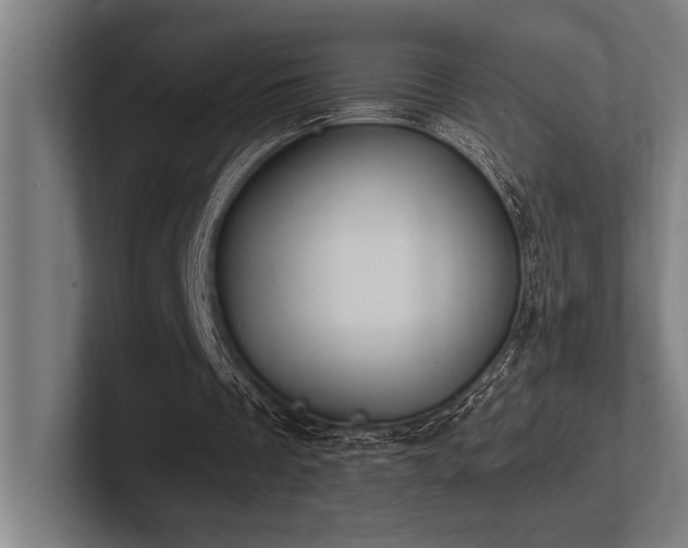 X0000102770289200808181135