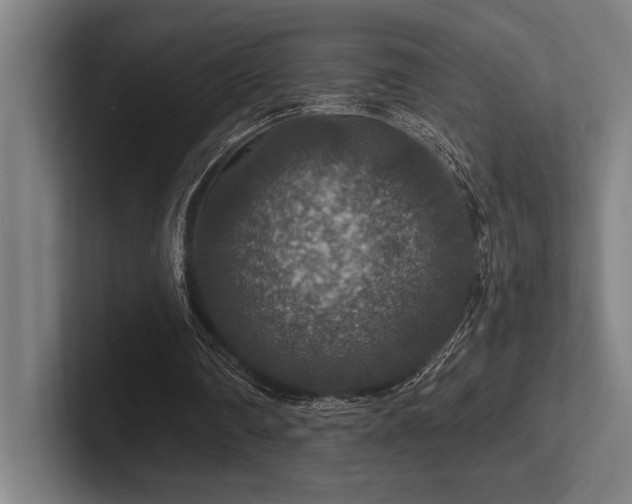 X0000102770290200808181135