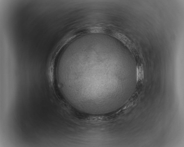 X0000102770291200808181135