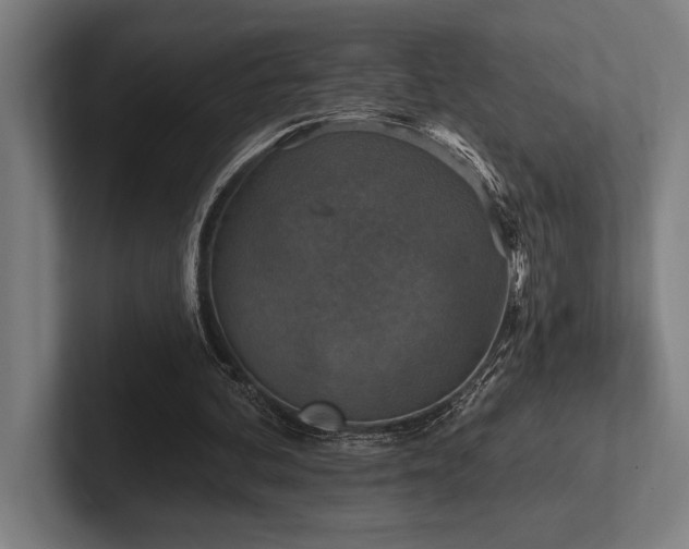 X0000102770292200808181135