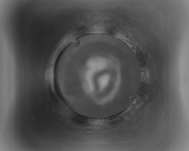 X0000102770293200808181135