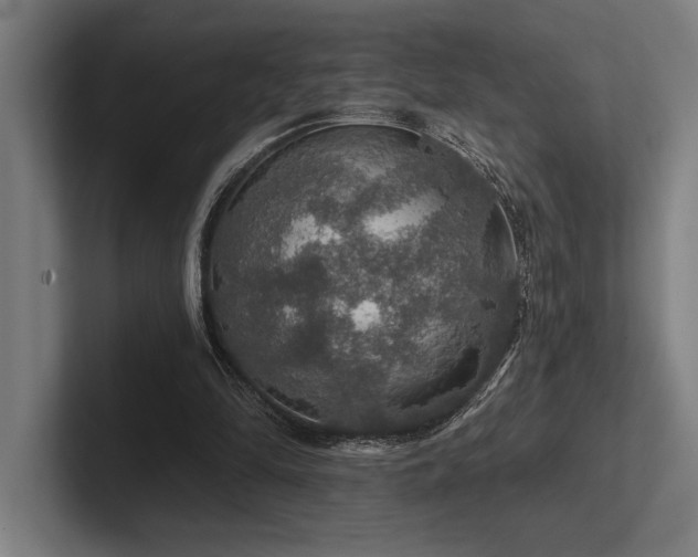 X0000102770294200808181135