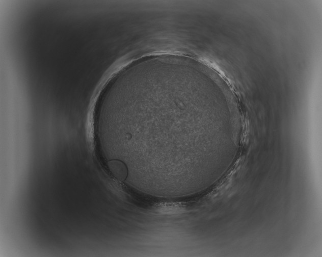 X0000102770296200808181135