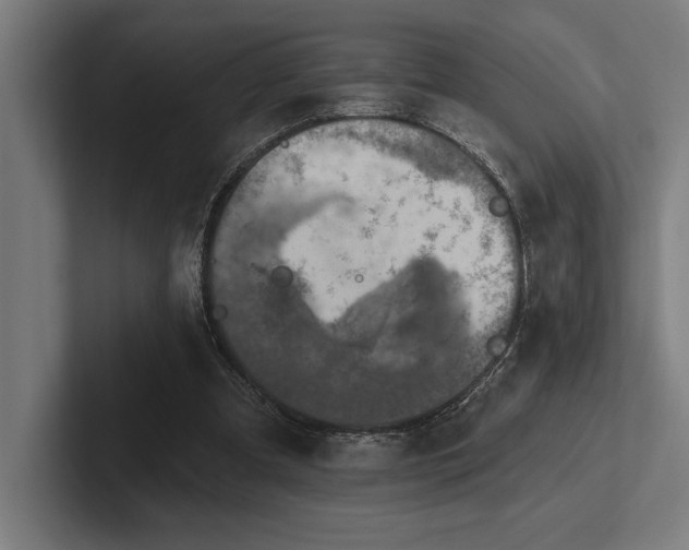 X0000102770297200808181135