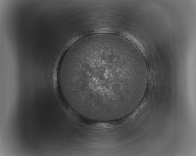 X0000102770298200808181135