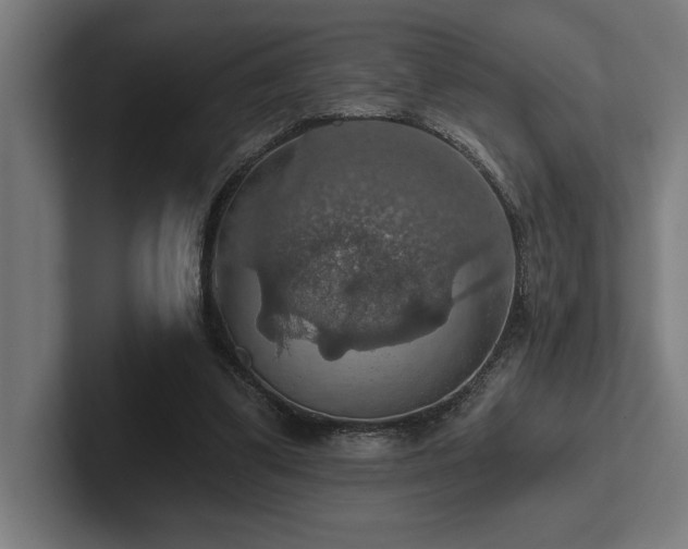 X0000102770299200808181135