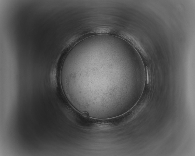 X0000102770300200808181135