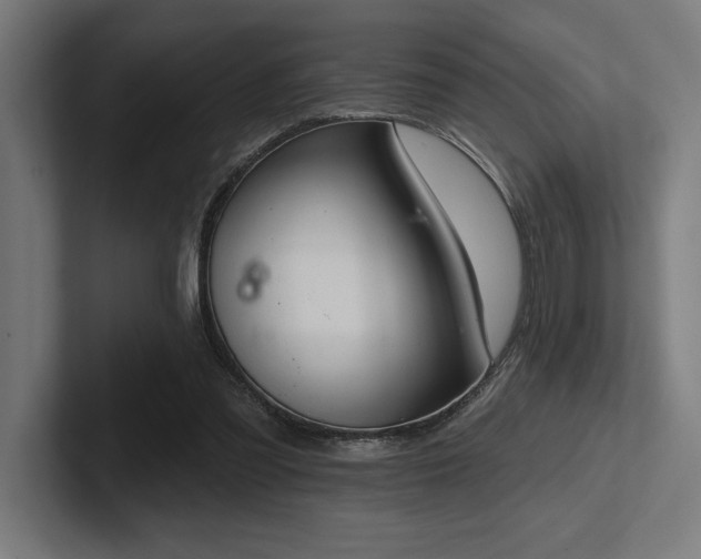 X0000102770301200808181135