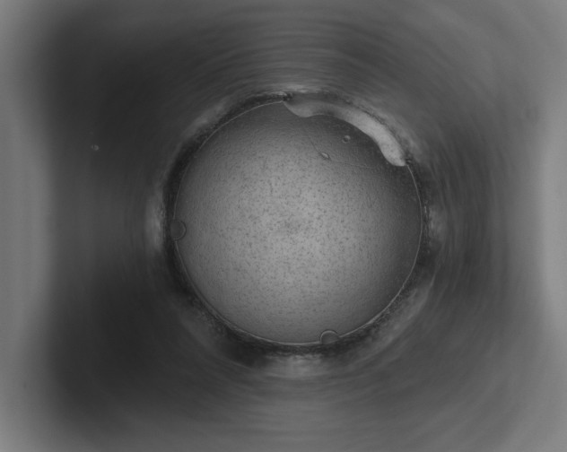 X0000102770304200808181135