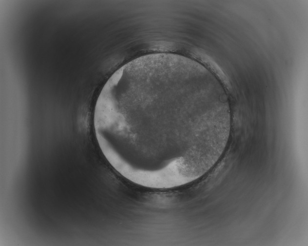 X0000102770305200808181135