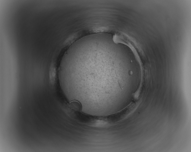 X0000102770308200808181135