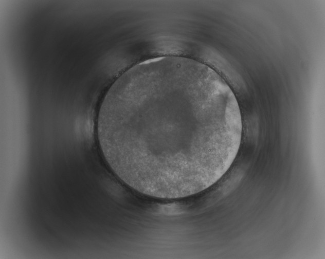 X0000102770309200808181135