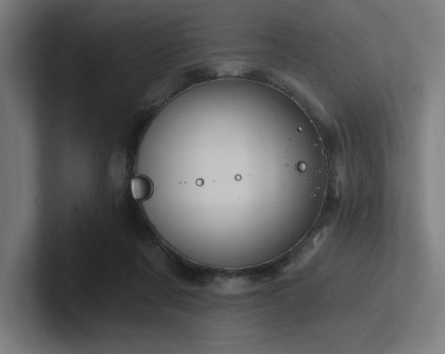 X0000102770311200808181135