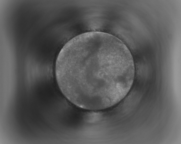 X0000102770313200808181135