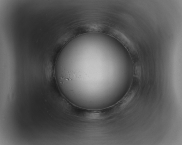 X0000102770318200808181134