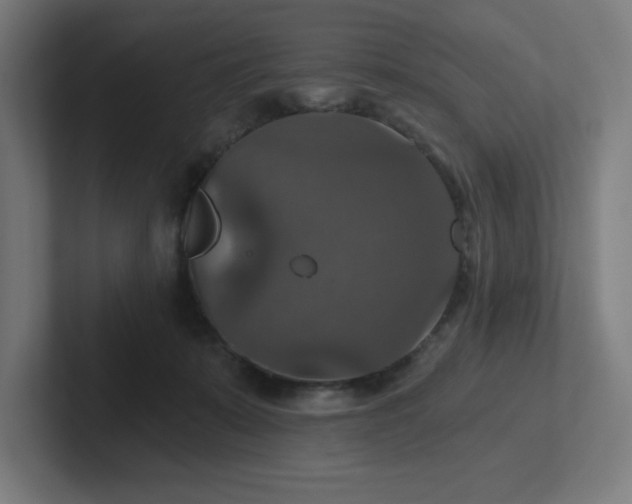 X0000102770319200808181134