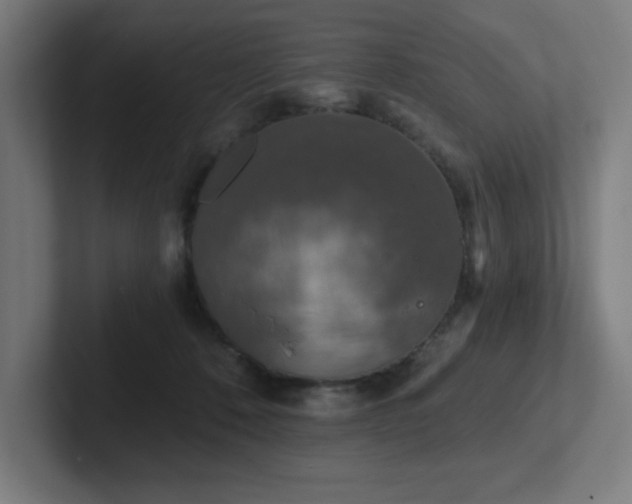 X0000102770320200808181134