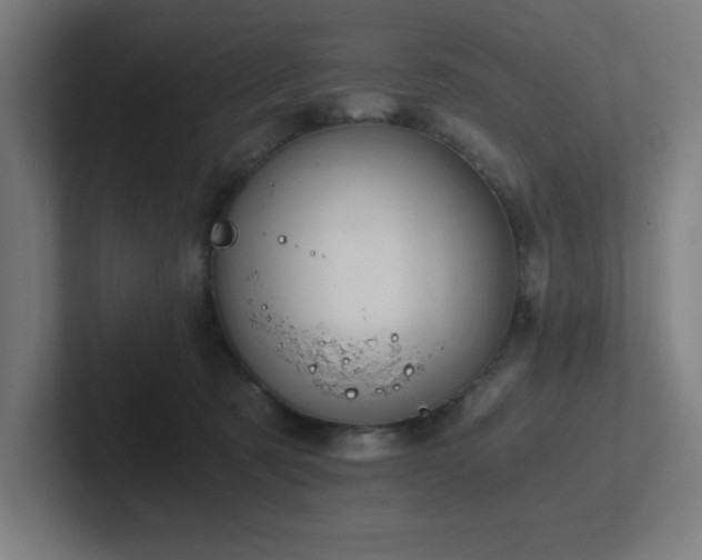 X0000102770321200808181134