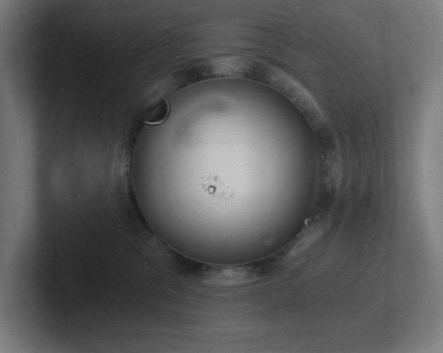 X0000102770329200808181134