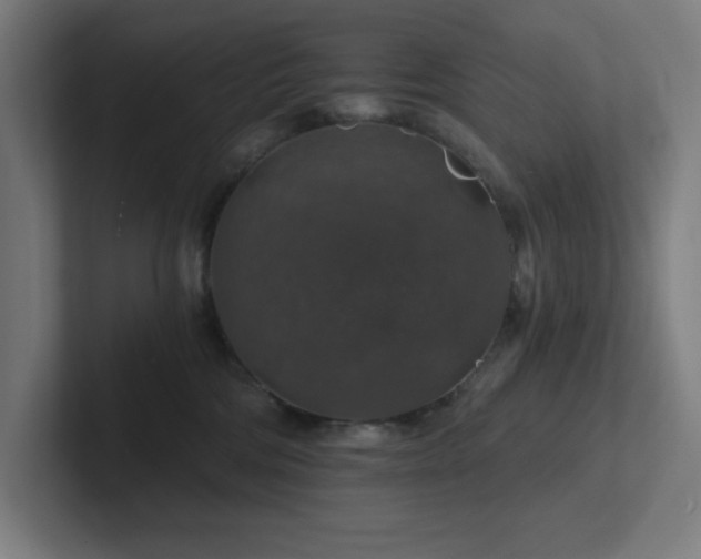 X0000102770330200808181134