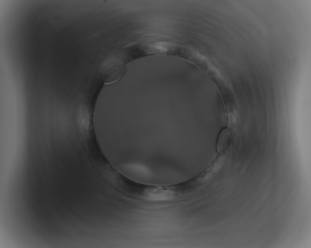 X0000102770331200808181134