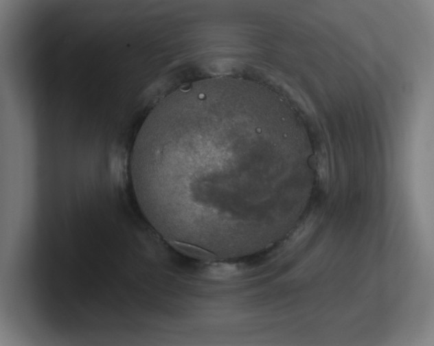 X0000102770332200808181134