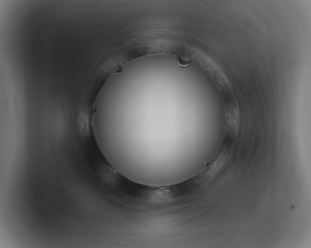 X0000102770333200808181134