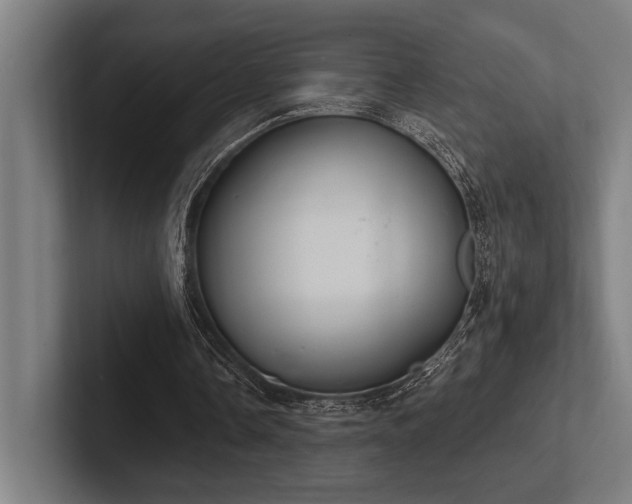 X0000102770338200808181134