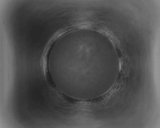 X0000102770339200808181134