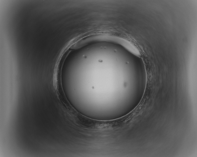 X0000102770340200808181134