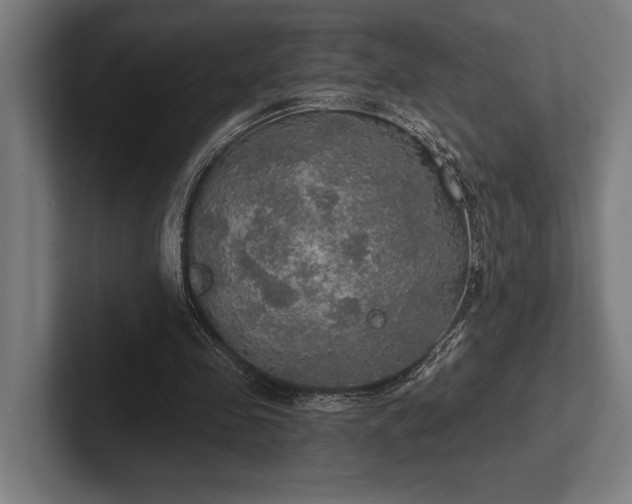 X0000102770341200808181134