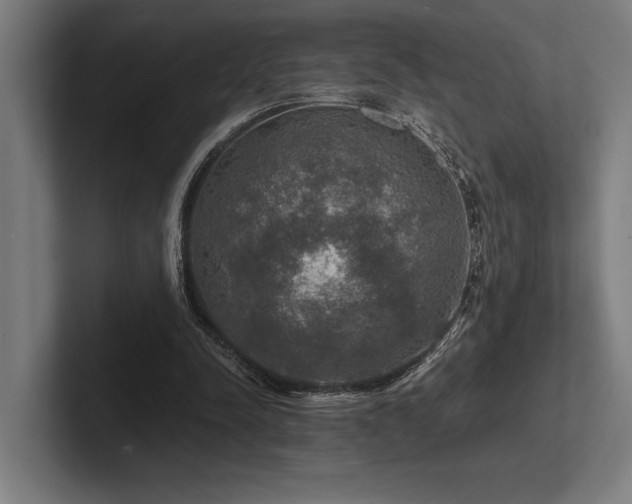 X0000102770342200808181134