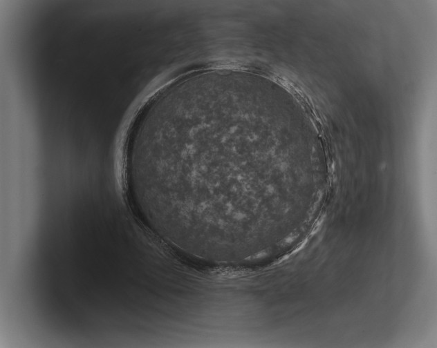 X0000102770343200808181134